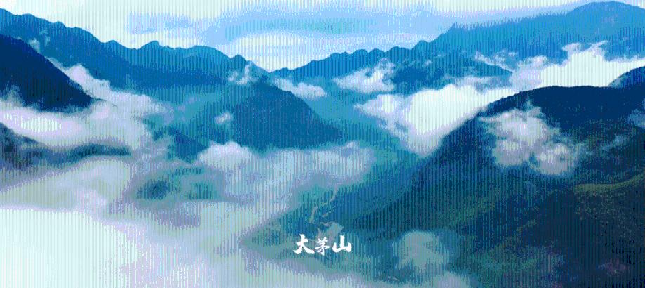 召唤神龙万宁版祖龙
