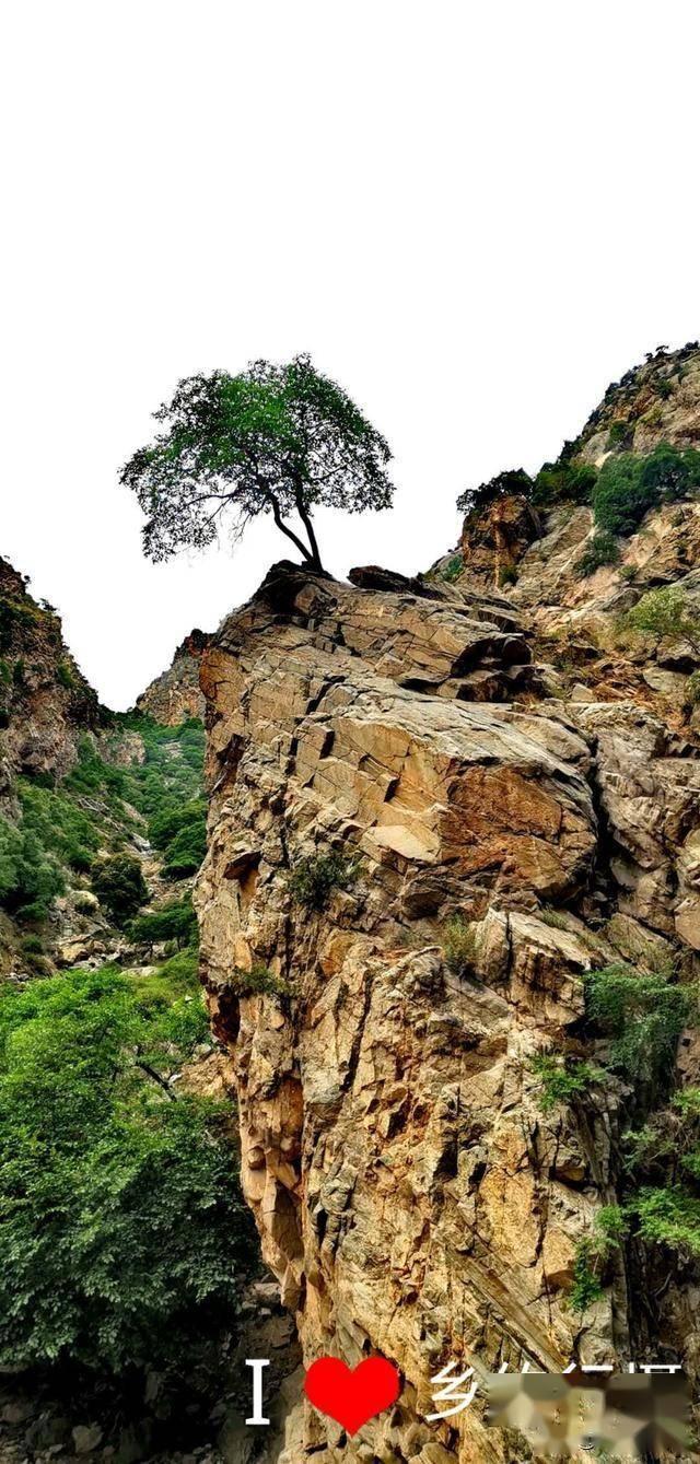 沪江开心词场